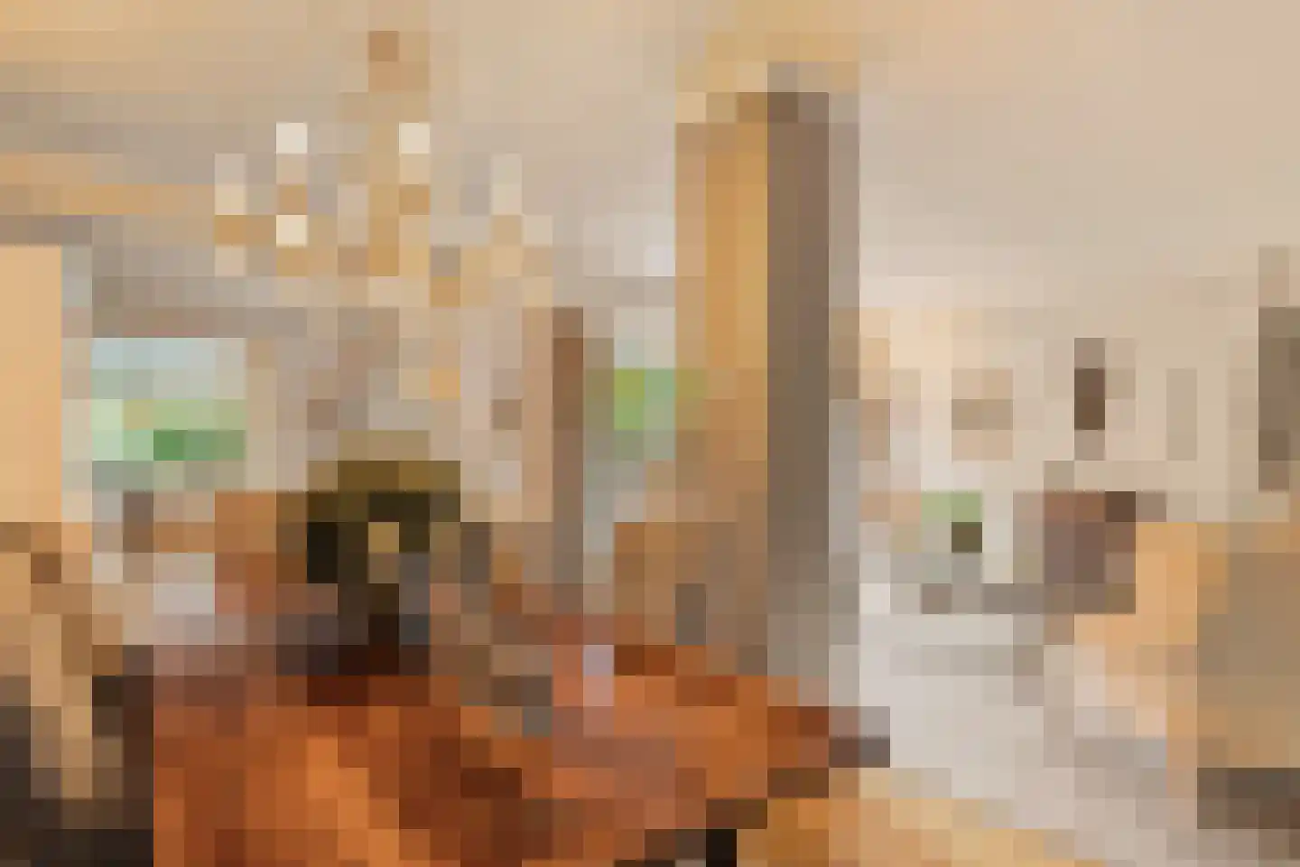 's-Gravenweg 190 Capelle aan den IJssel thumbnail 8