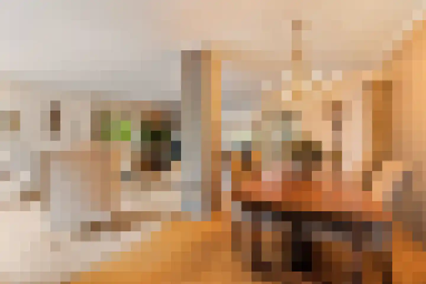's-Gravenweg 190 Capelle aan den IJssel thumbnail 9