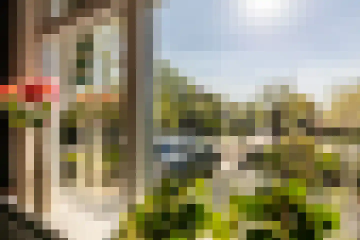 's-Gravenweg 192 Nieuwerkerk aan den IJssel thumbnail 18