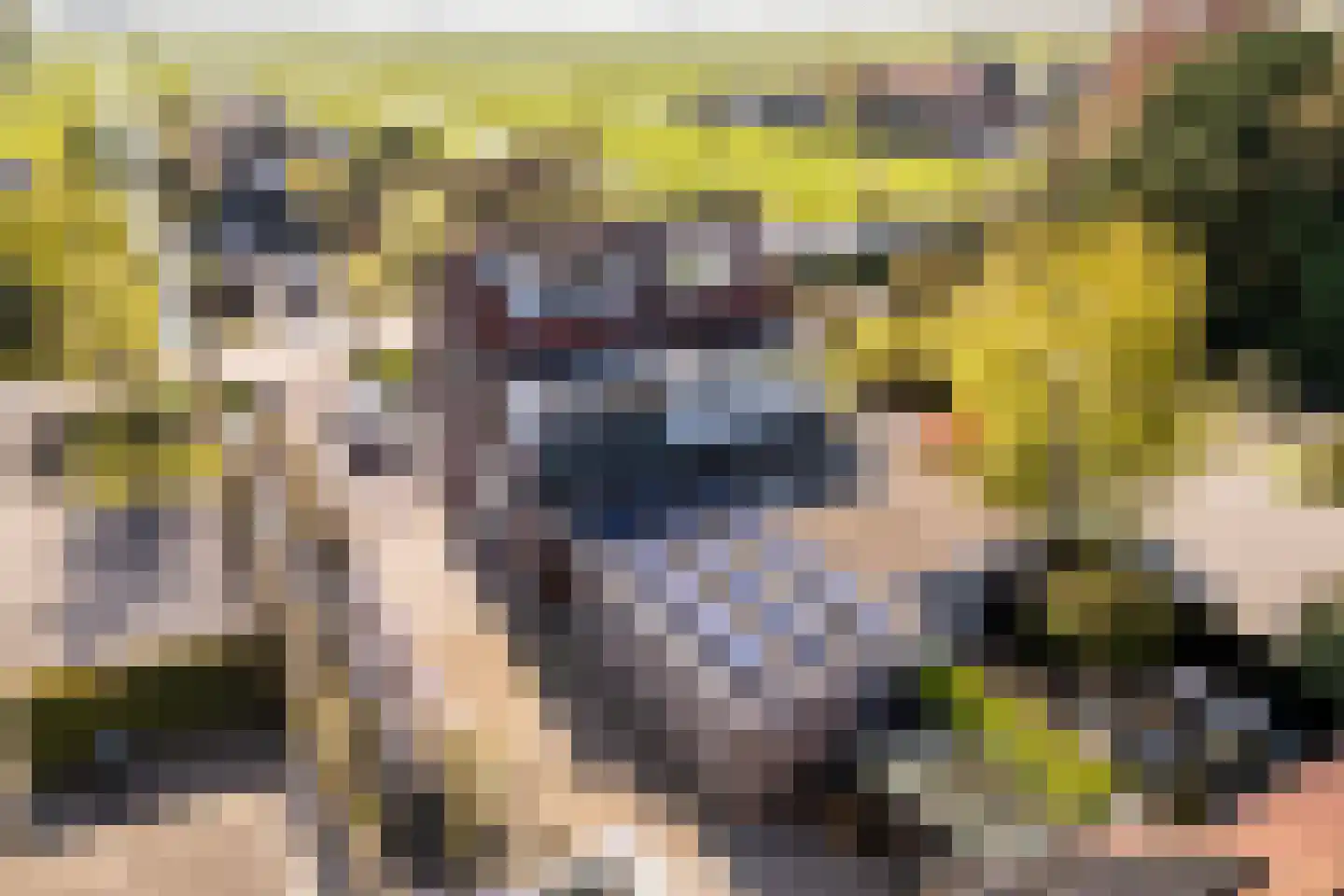 's-Gravenweg 192 Nieuwerkerk aan den IJssel thumbnail 37