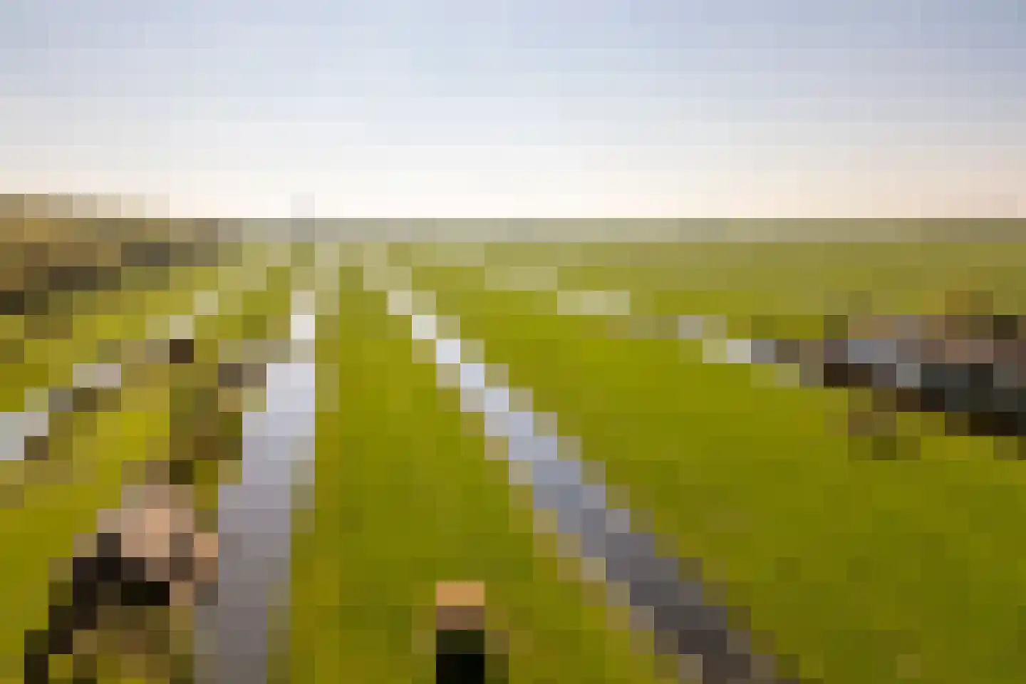 's-Gravenweg 192 Nieuwerkerk aan den IJssel thumbnail 46