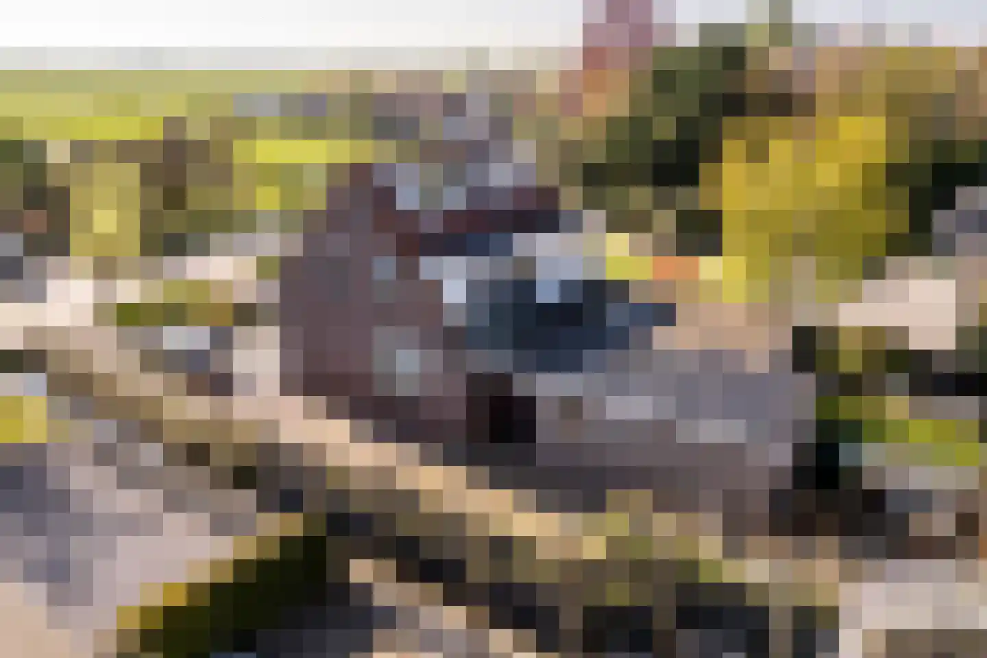 's-Gravenweg 192 Nieuwerkerk aan den IJssel thumbnail 5