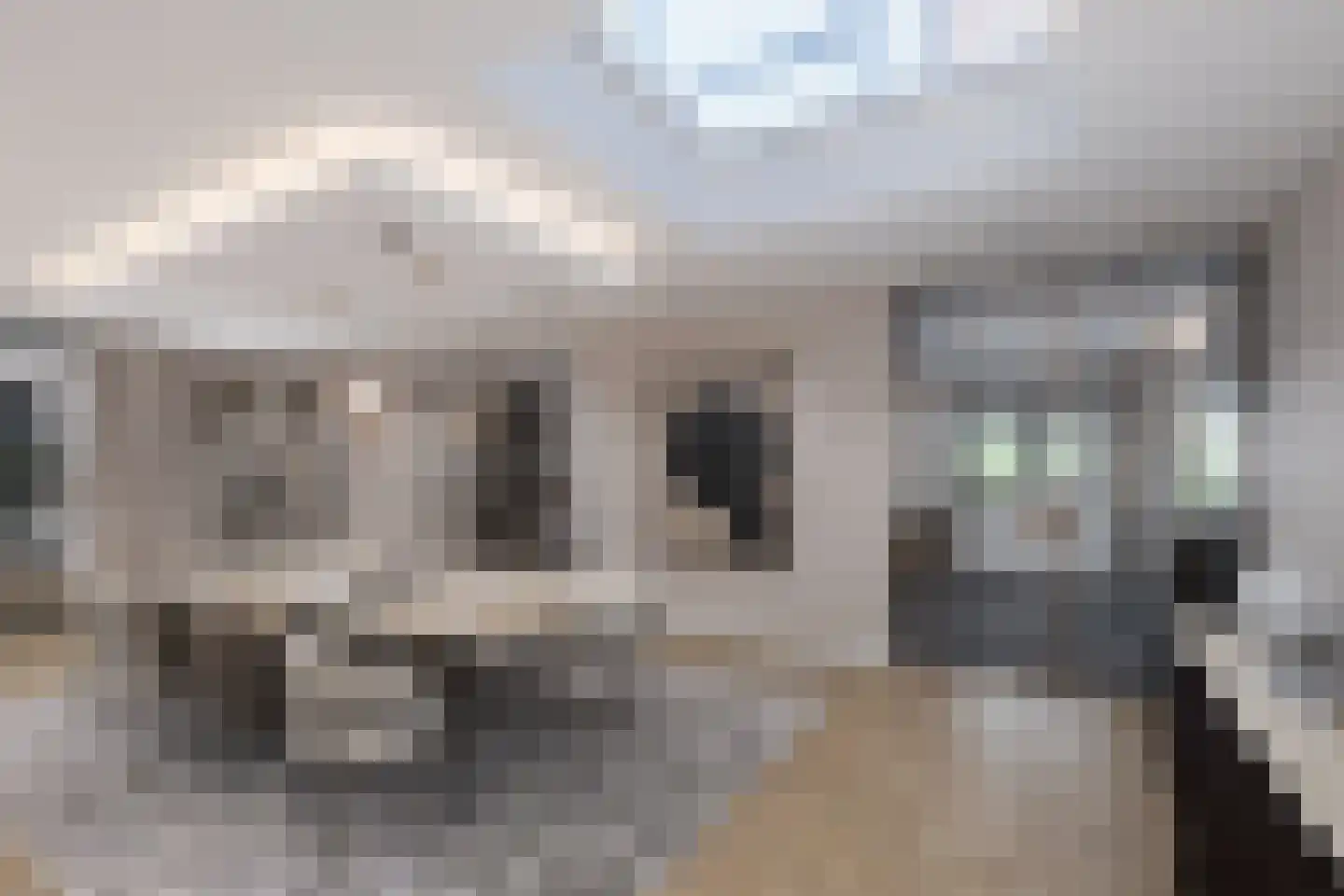 's-Gravenweg 194 Nieuwerkerk aan den IJssel thumbnail 15