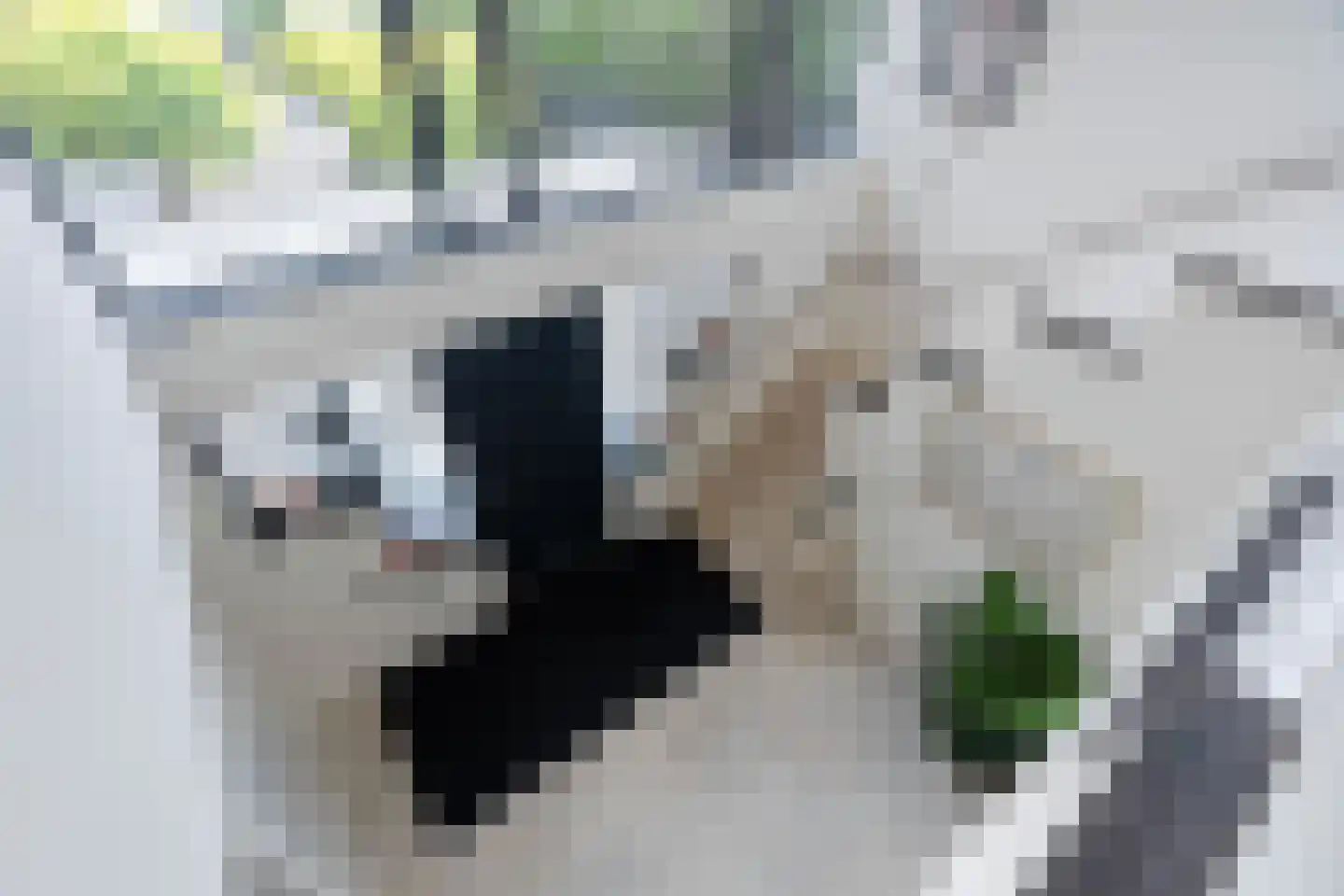 's-Gravenweg 194 Nieuwerkerk aan den IJssel thumbnail 4