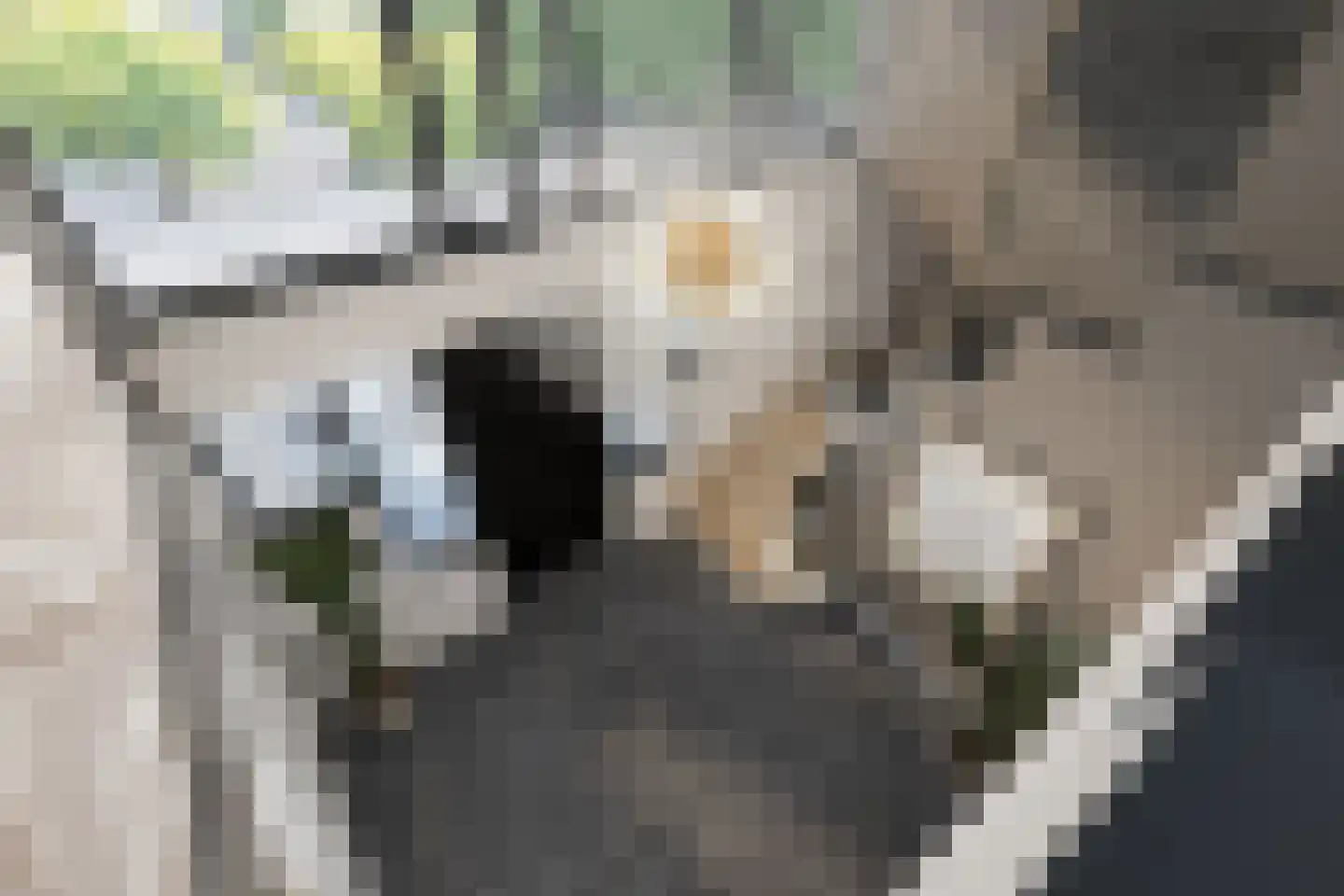 's-Gravenweg 194 Nieuwerkerk aan den IJssel thumbnail 5
