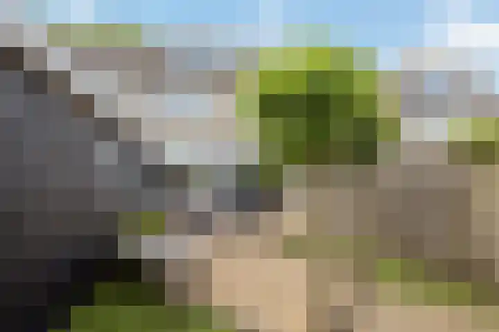's-Gravenweg 21 Nieuw-Beijerland thumbnail 22