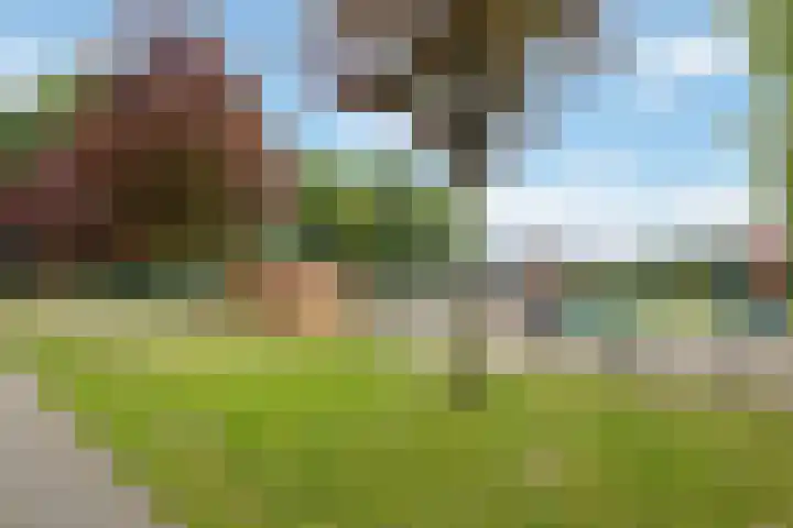 's-Gravenweg 21 Nieuw-Beijerland thumbnail 23