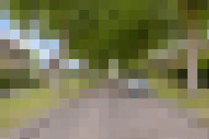 's-Gravenweg 21 Nieuw-Beijerland thumbnail 24