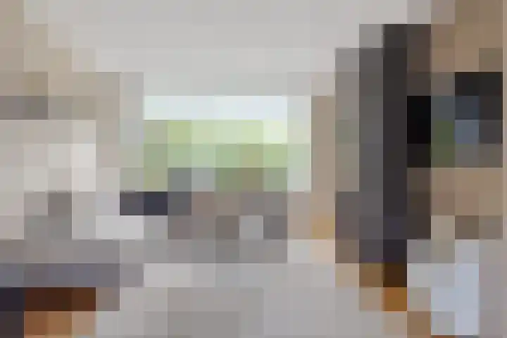 's-Gravenweg 21 Nieuw-Beijerland thumbnail 4