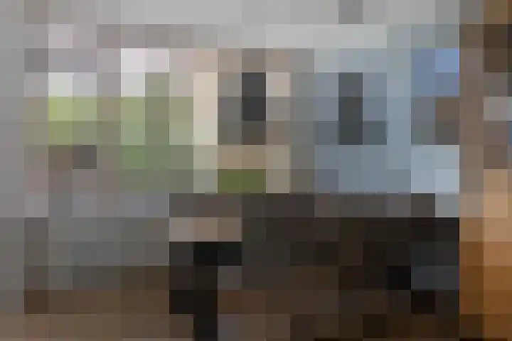 's-Gravenweg 23 Nieuw-Beijerland thumbnail 13