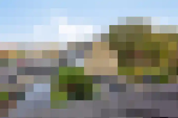 's-Gravenweg 23 Nieuw-Beijerland thumbnail 29