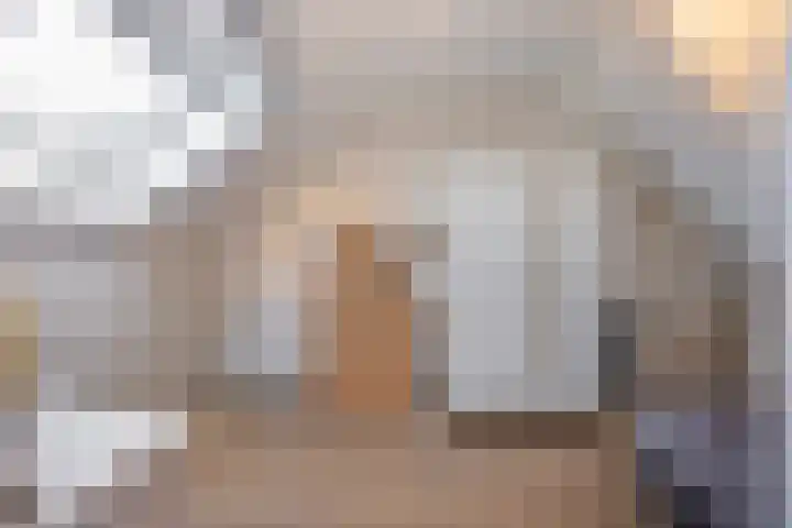 's-Gravenweg 23 Nieuw-Beijerland thumbnail 30