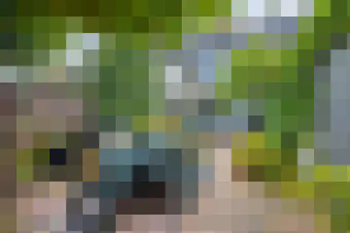 's-Gravenweg 23 Nieuw-Beijerland thumbnail 33
