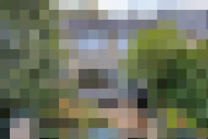 's-Gravenweg 23 Nieuw-Beijerland thumbnail 34