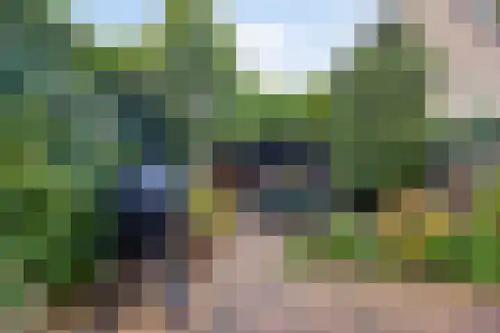 's-Gravenweg 23 Nieuw-Beijerland thumbnail 35