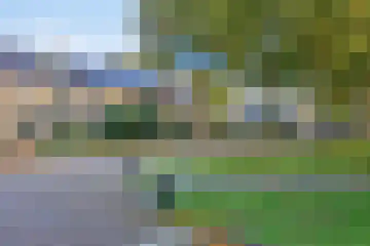 's-Gravenweg 23 Nieuw-Beijerland thumbnail 4
