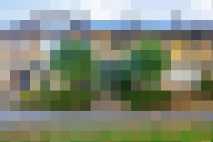 's-Gravenweg 23 Nieuw-Beijerland thumbnail 5