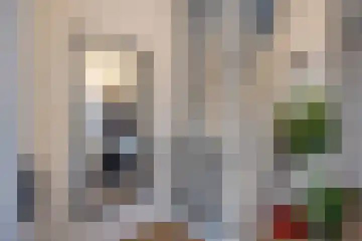's-Gravenweg 23 Nieuw-Beijerland thumbnail 8