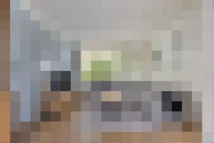's-Gravenweg 23 Nieuw-Beijerland thumbnail 9