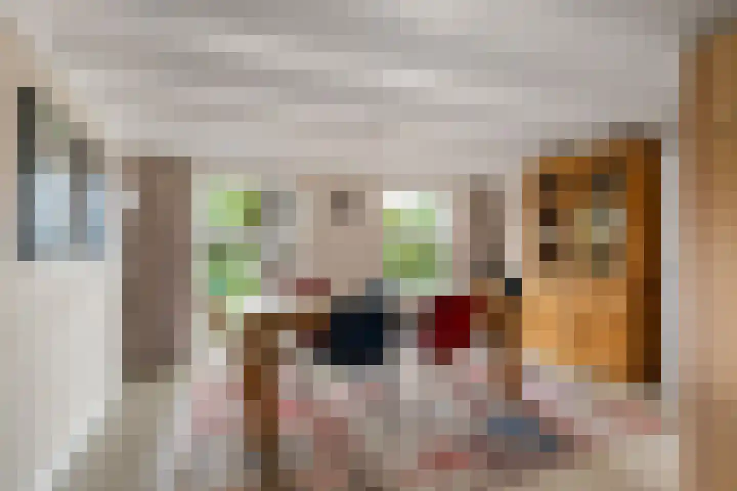 's-Gravenweg 238 Nieuwerkerk aan den IJssel thumbnail 12