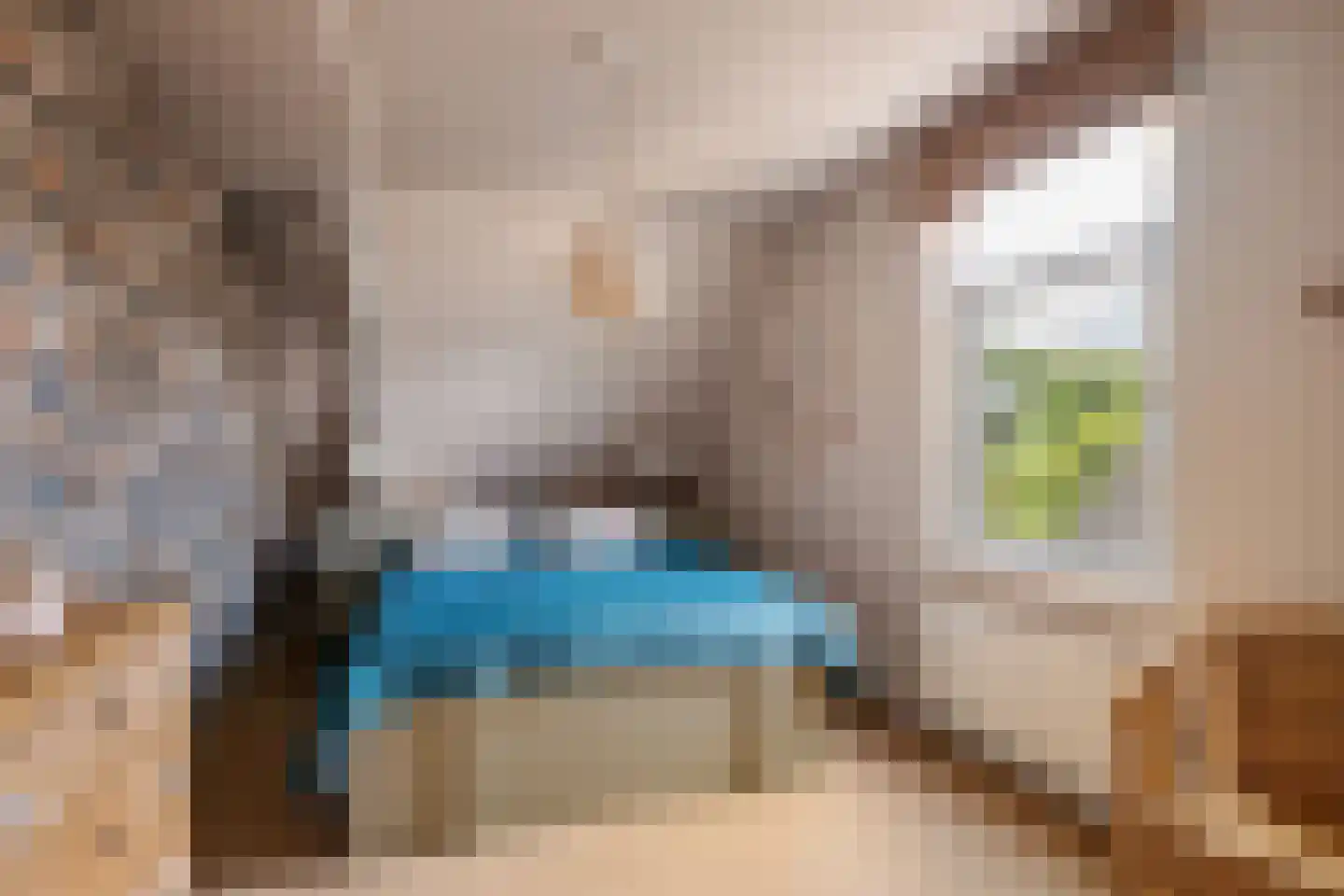 's-Gravenweg 238 Nieuwerkerk aan den IJssel thumbnail 23