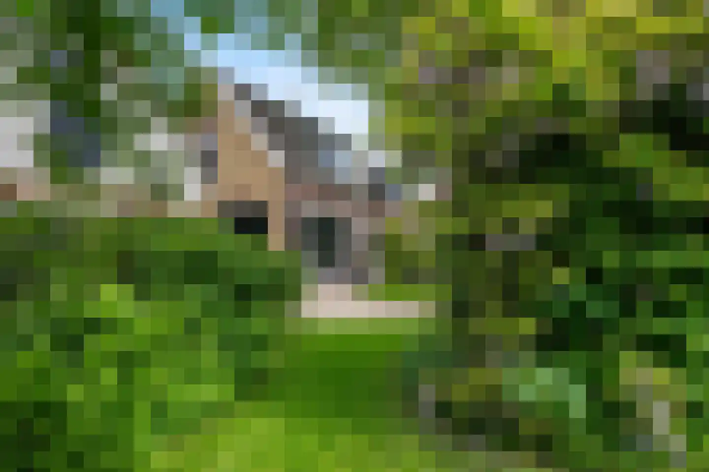 's-Gravenweg 238 Nieuwerkerk aan den IJssel thumbnail 31