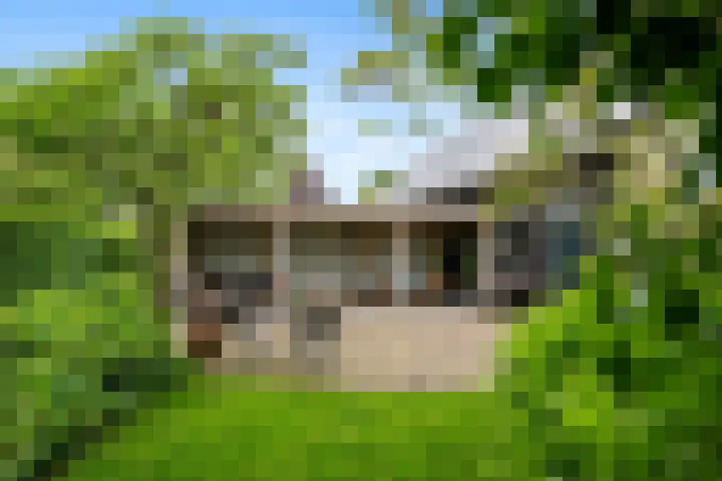 's-Gravenweg 238 Nieuwerkerk aan den IJssel thumbnail 32