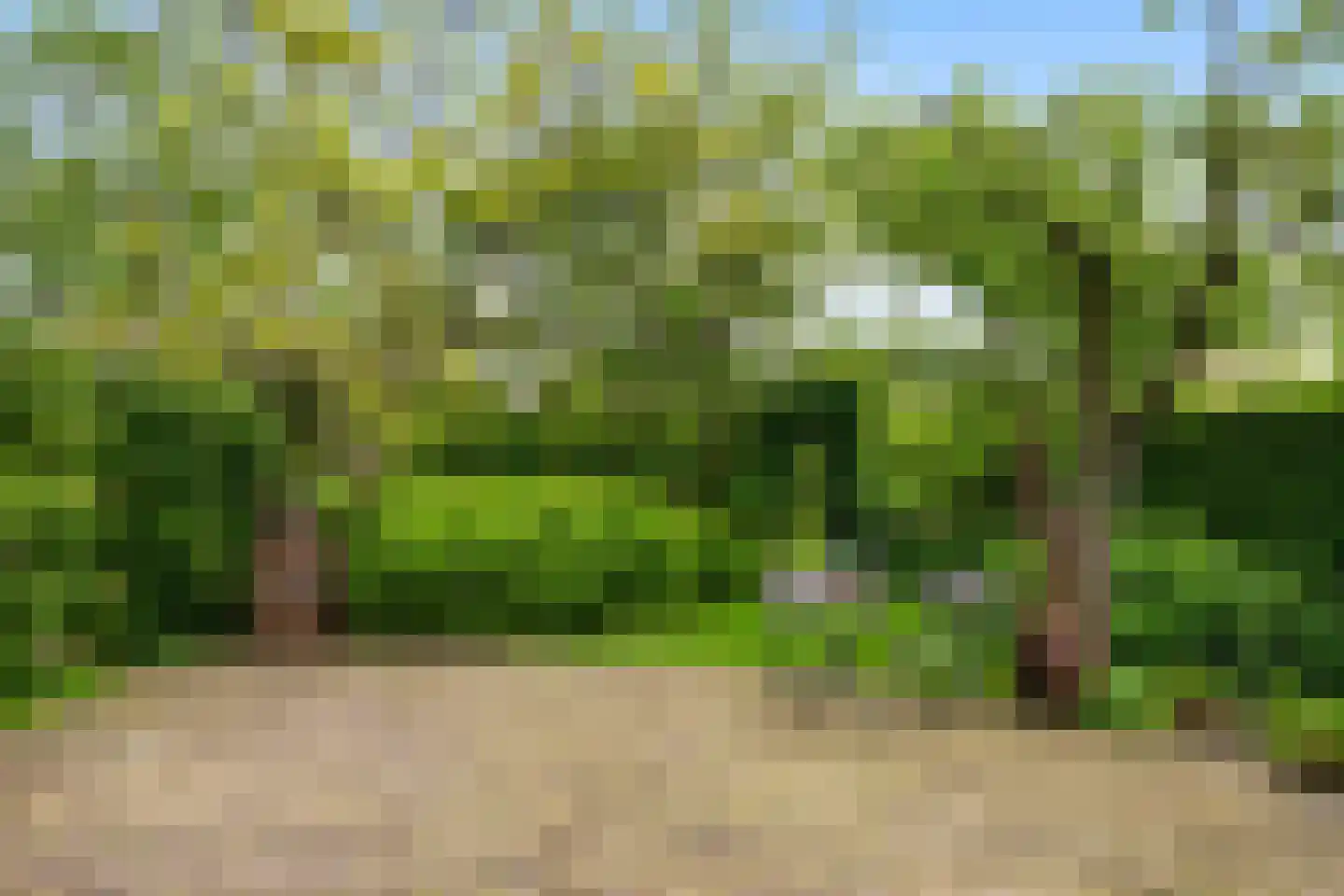 's-Gravenweg 238 Nieuwerkerk aan den IJssel thumbnail 42