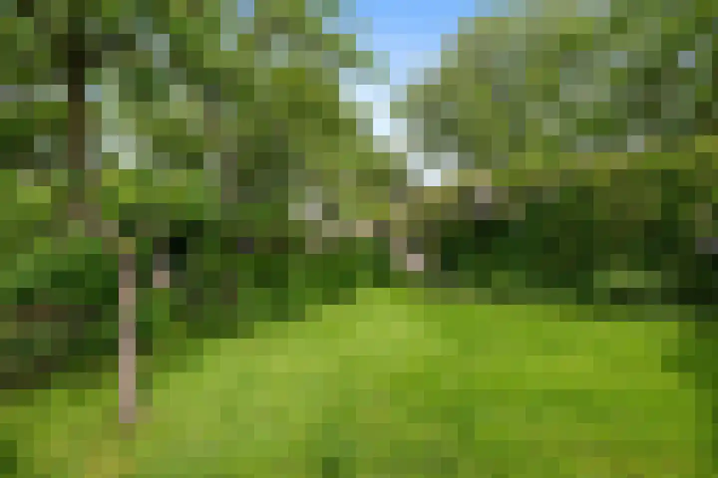 's-Gravenweg 238 Nieuwerkerk aan den IJssel thumbnail 43