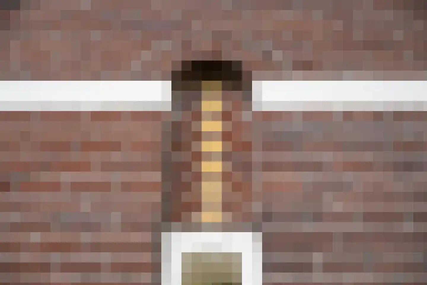's-Gravenweg 238 Nieuwerkerk aan den IJssel thumbnail 46