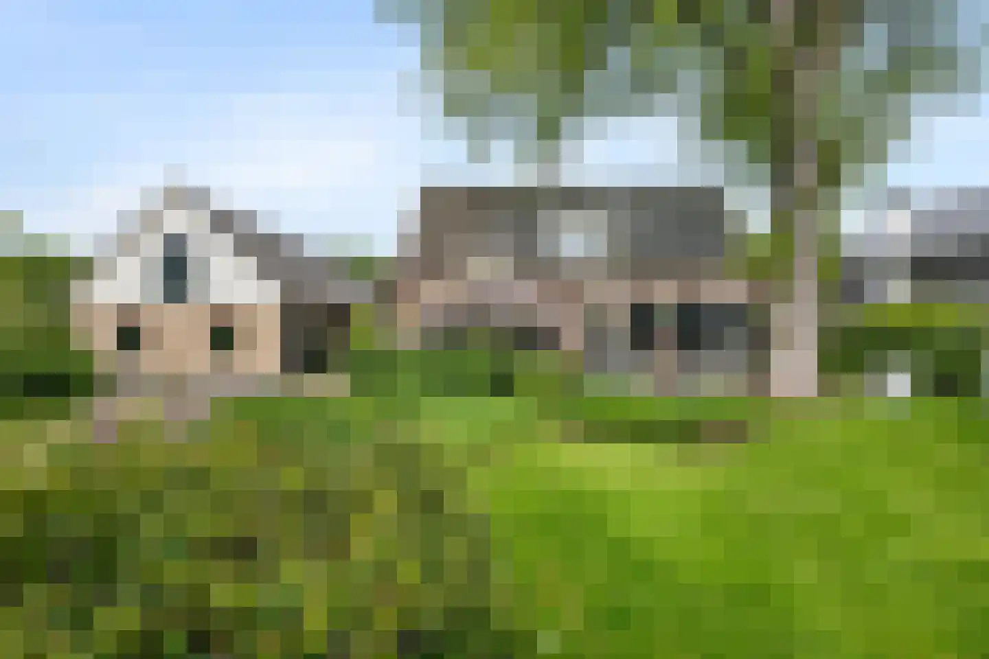 's-Gravenweg 238 Nieuwerkerk aan den IJssel thumbnail 8