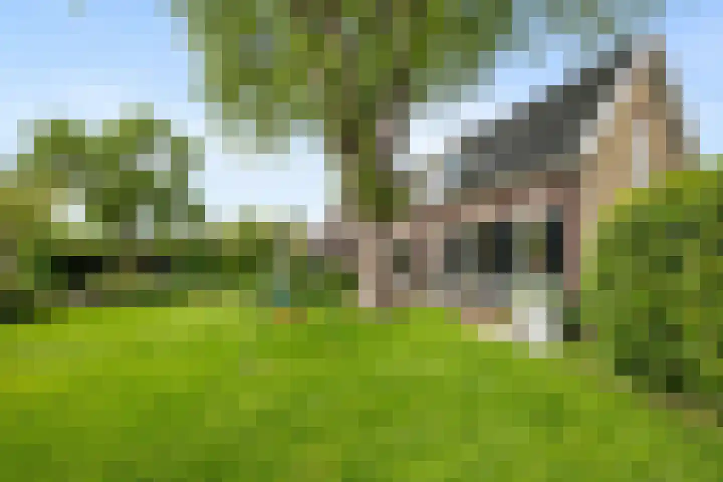 's-Gravenweg 238 Nieuwerkerk aan den IJssel thumbnail 9