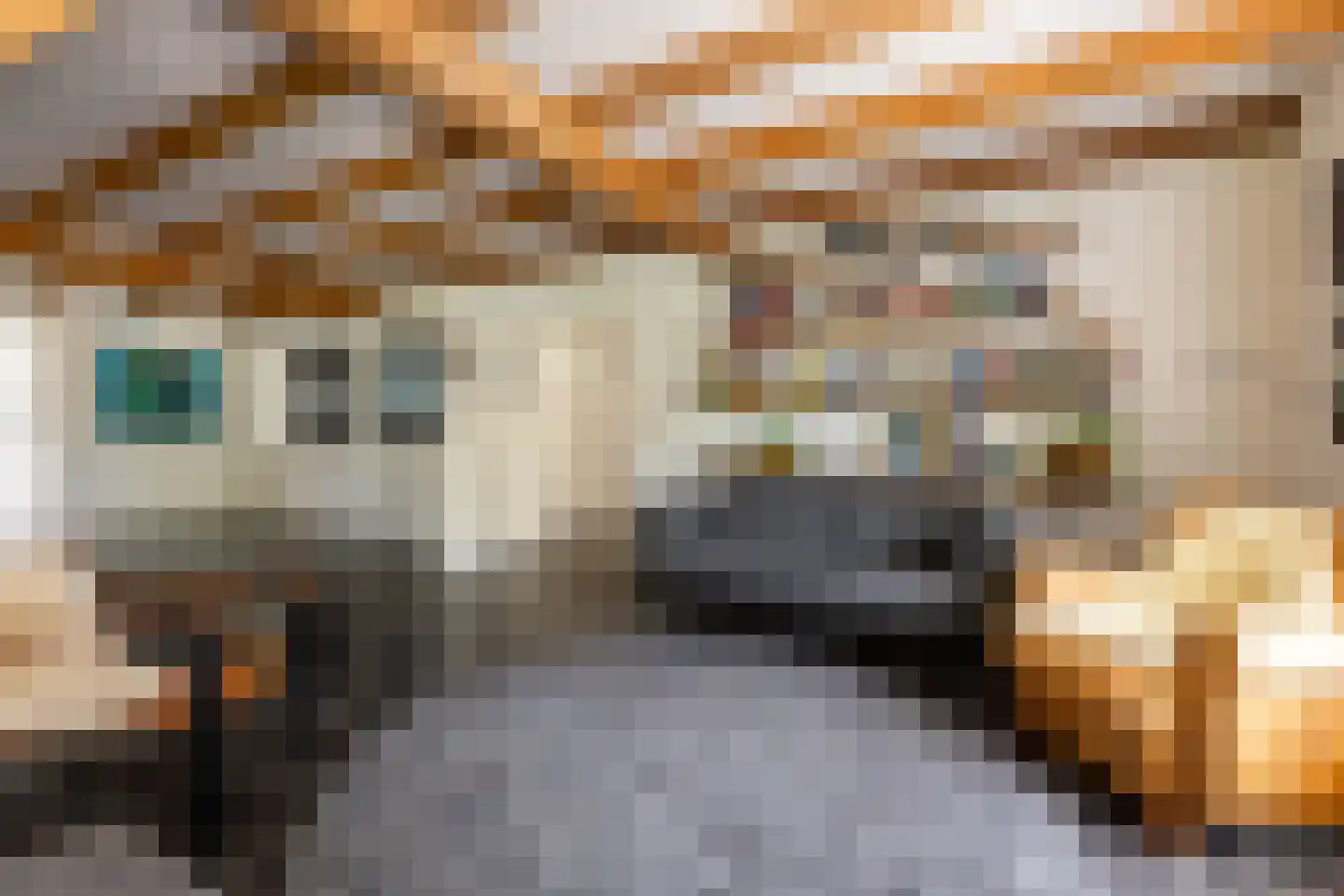 's-Gravenweg 240 Nieuwerkerk aan den IJssel thumbnail 12