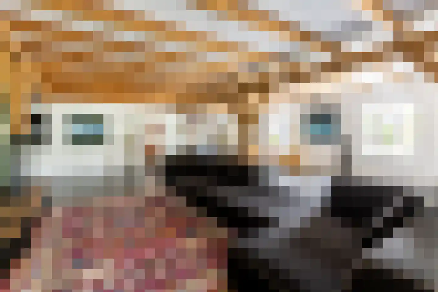 's-Gravenweg 240 Nieuwerkerk aan den IJssel thumbnail 13