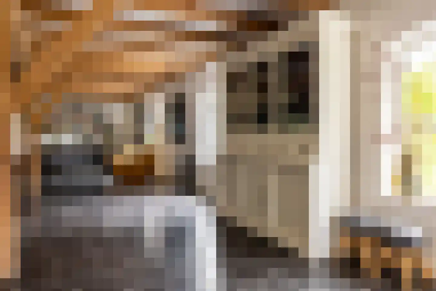 's-Gravenweg 240 Nieuwerkerk aan den IJssel thumbnail 14