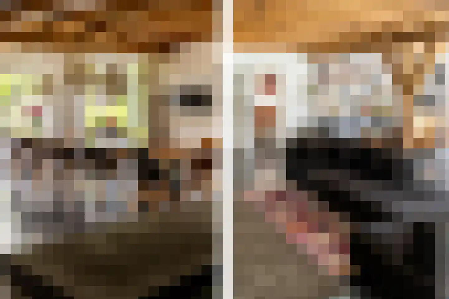 's-Gravenweg 240 Nieuwerkerk aan den IJssel thumbnail 15