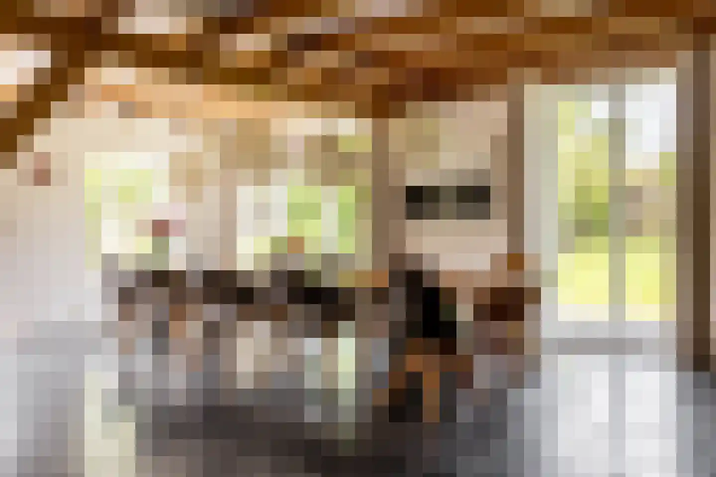 's-Gravenweg 240 Nieuwerkerk aan den IJssel thumbnail 16