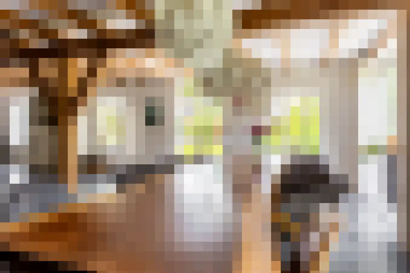 's-Gravenweg 240 Nieuwerkerk aan den IJssel thumbnail 17