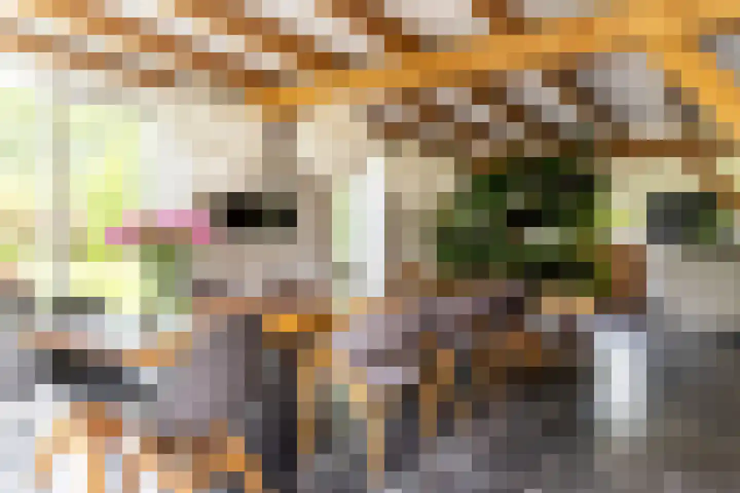 's-Gravenweg 240 Nieuwerkerk aan den IJssel thumbnail 18