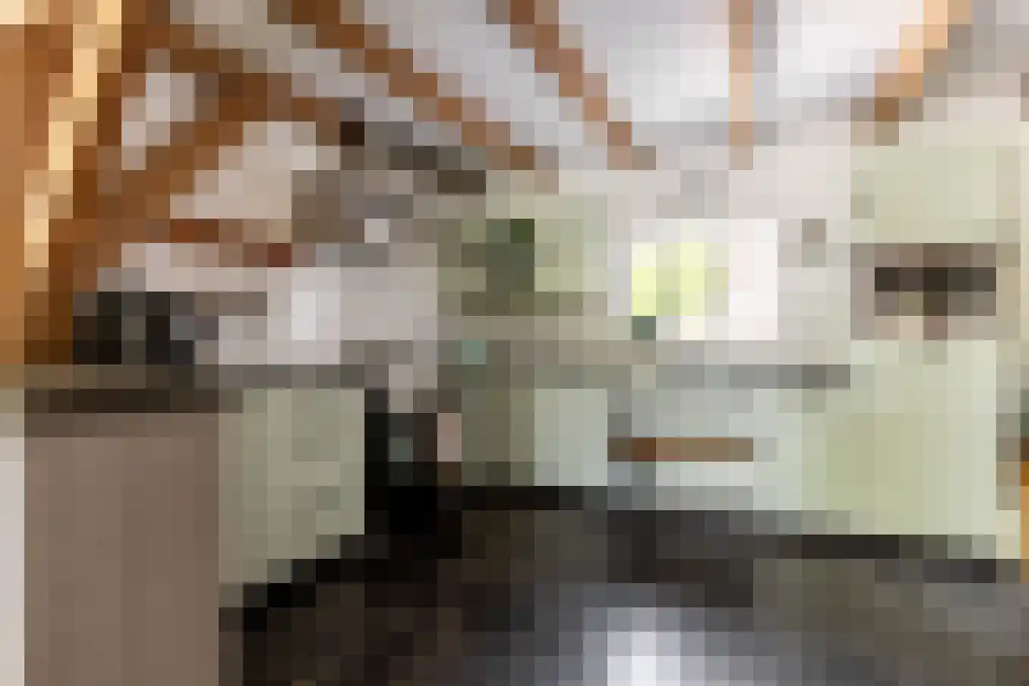 's-Gravenweg 240 Nieuwerkerk aan den IJssel thumbnail 21