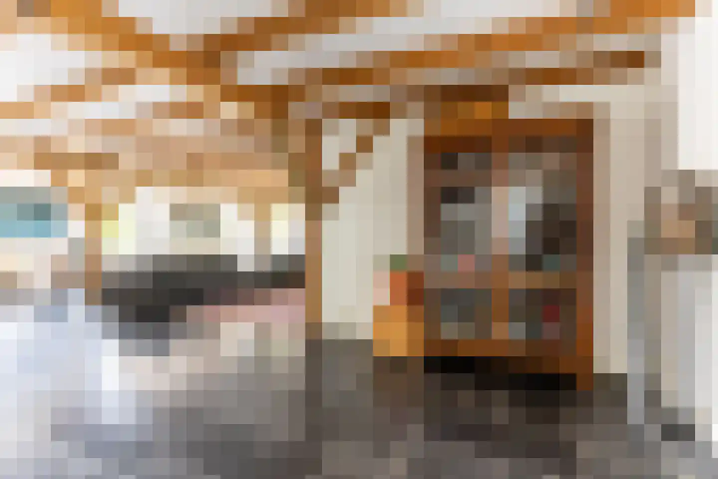 's-Gravenweg 240 Nieuwerkerk aan den IJssel thumbnail 25