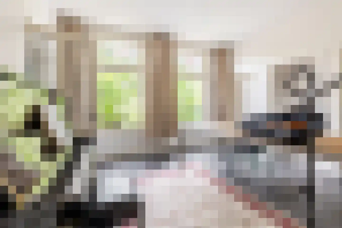 's-Gravenweg 240 Nieuwerkerk aan den IJssel thumbnail 28
