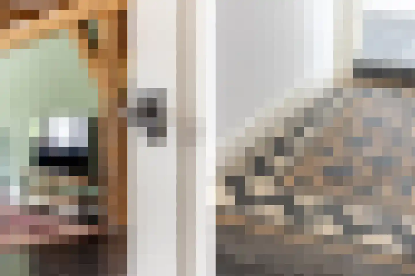 's-Gravenweg 240 Nieuwerkerk aan den IJssel thumbnail 32