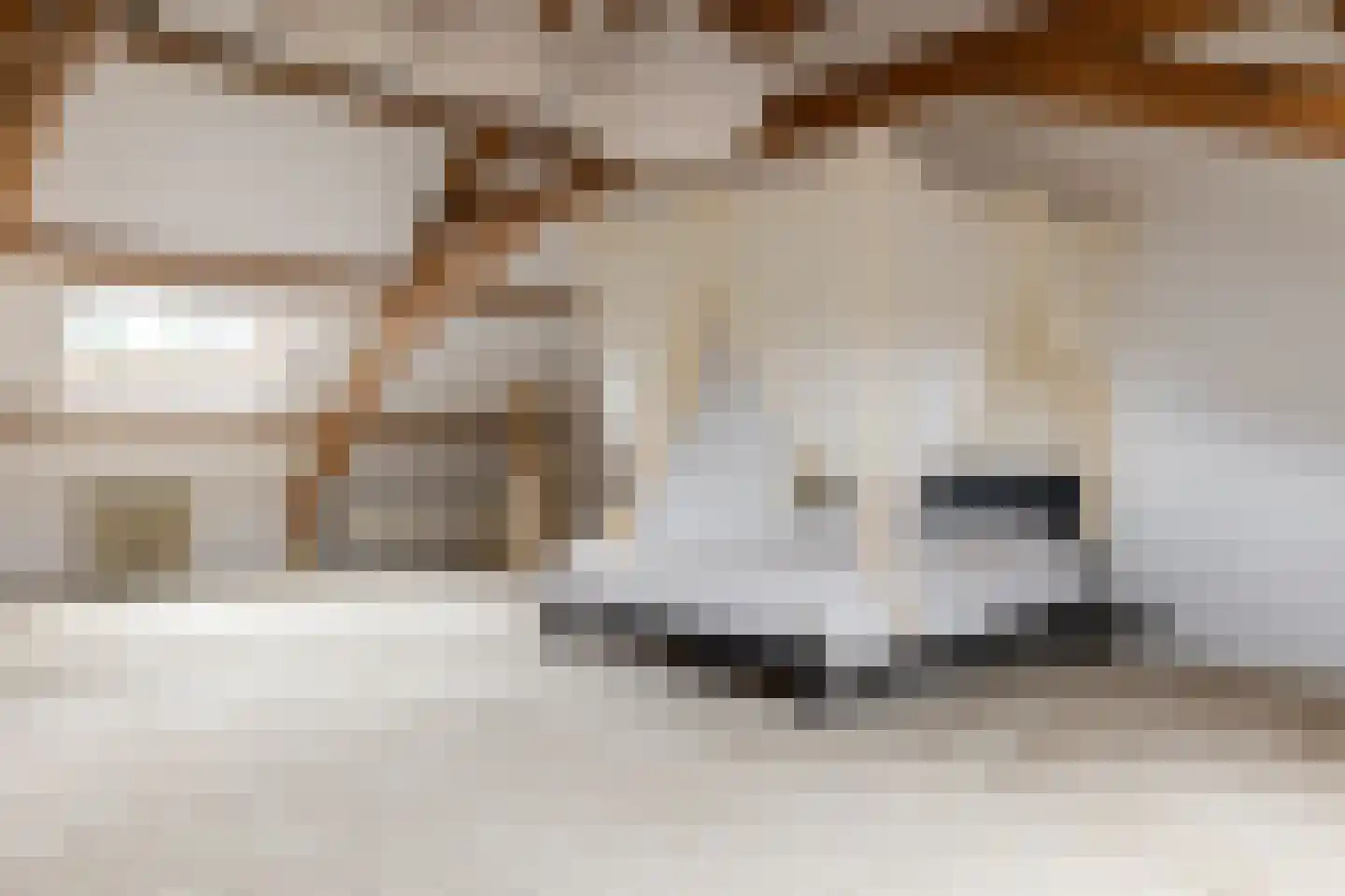 's-Gravenweg 240 Nieuwerkerk aan den IJssel thumbnail 37