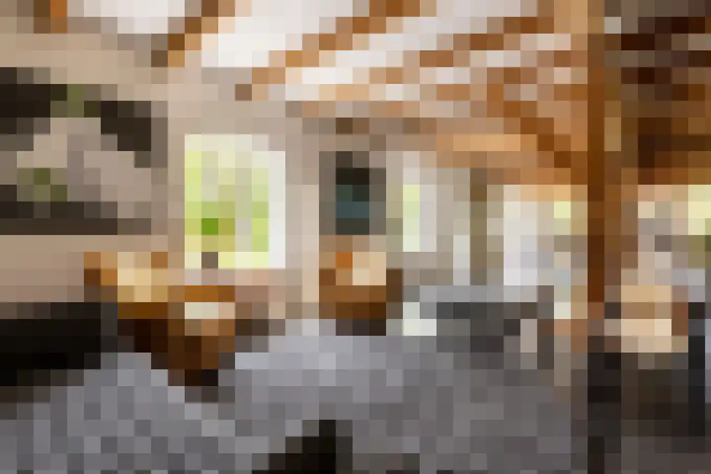 's-Gravenweg 240 Nieuwerkerk aan den IJssel thumbnail 4