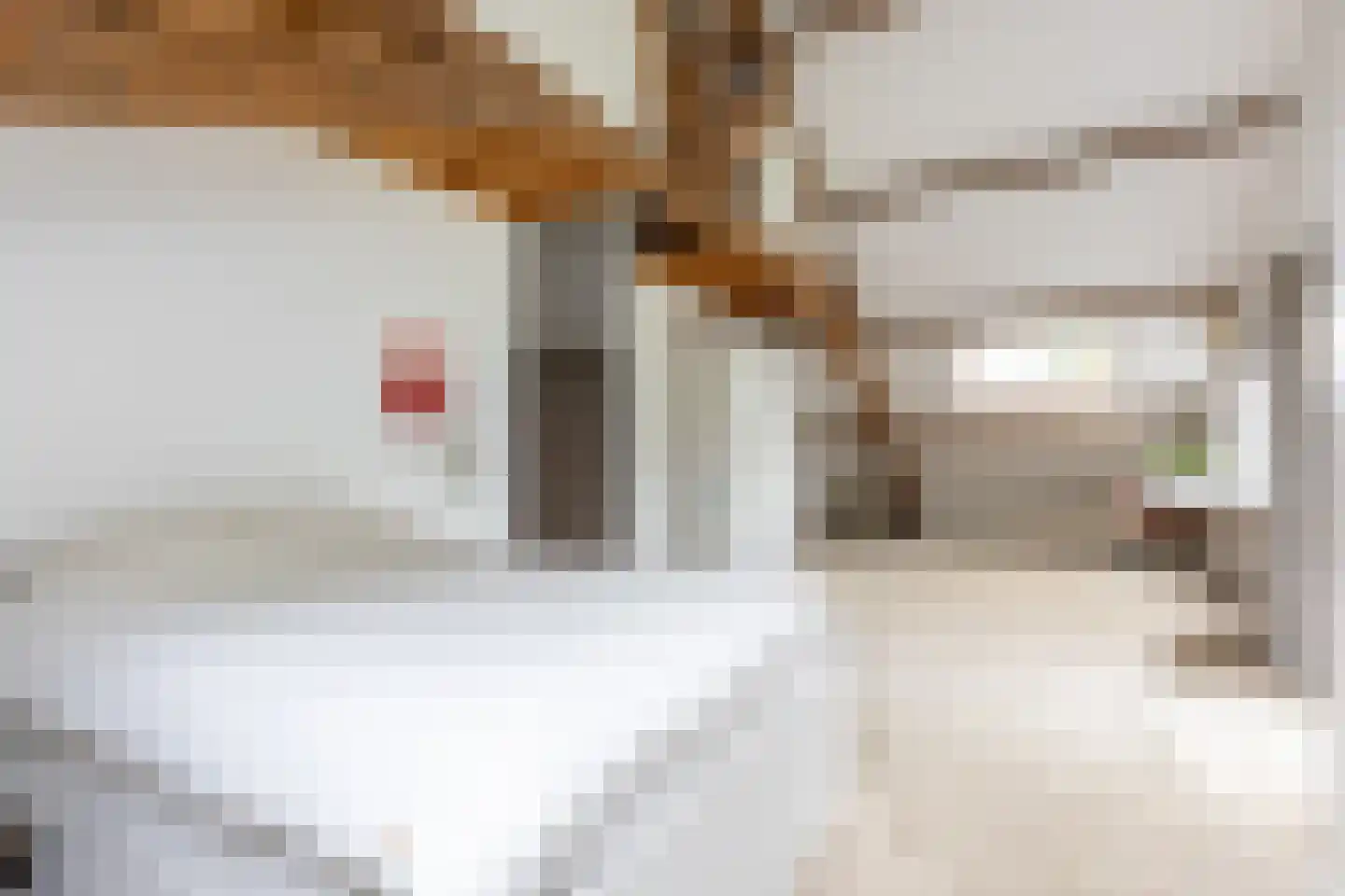 's-Gravenweg 240 Nieuwerkerk aan den IJssel thumbnail 43