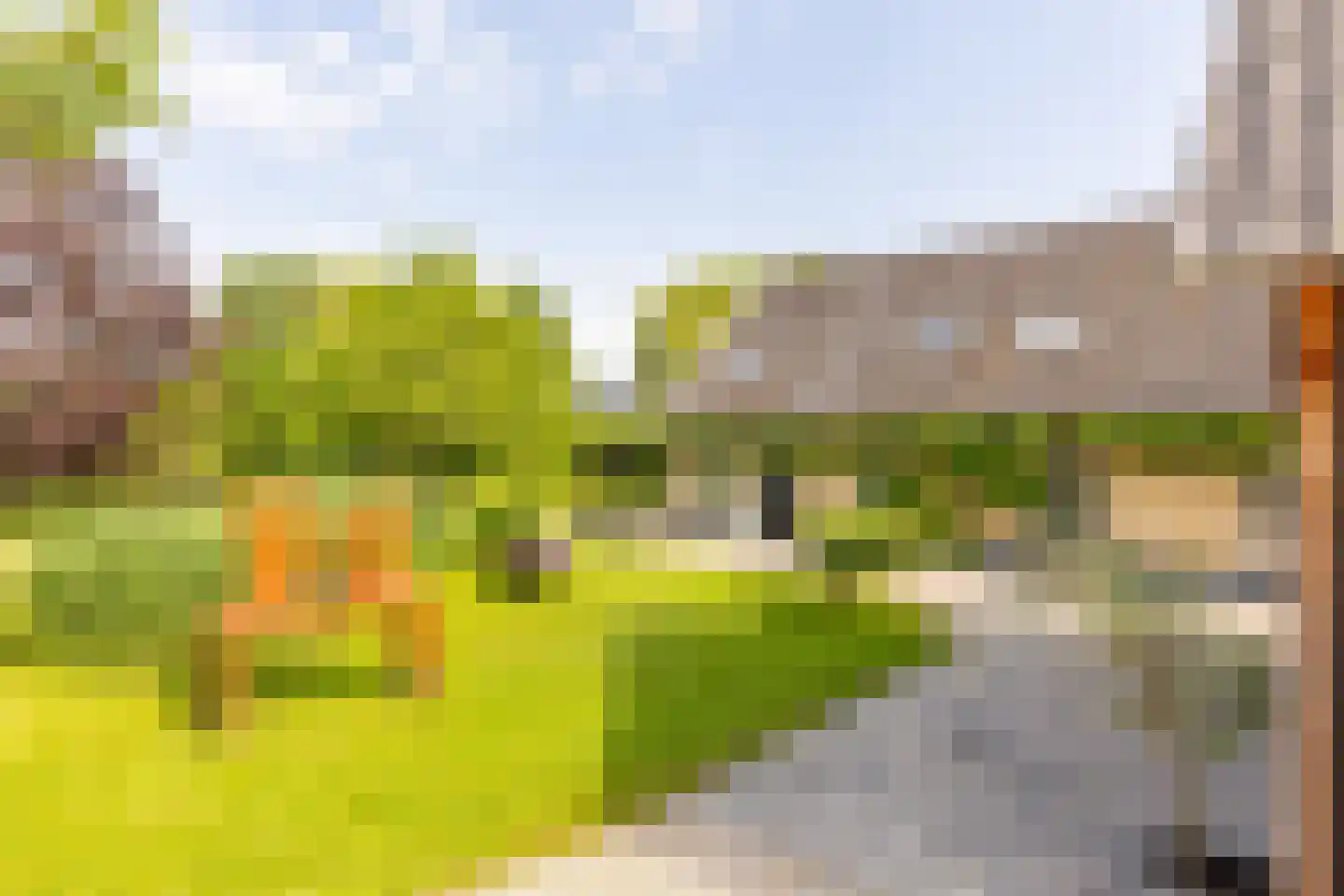 's-Gravenweg 240 Nieuwerkerk aan den IJssel thumbnail 49