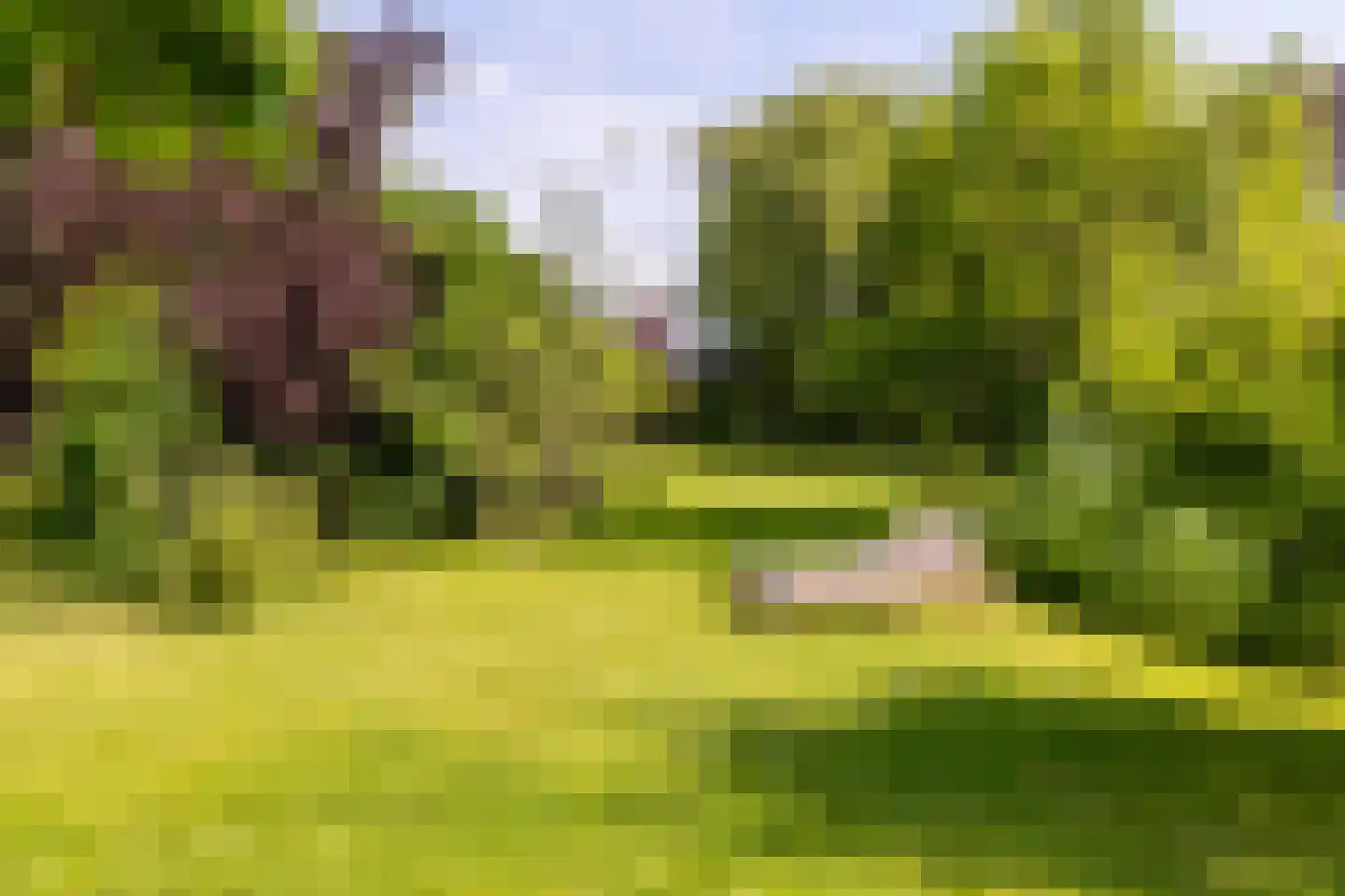 's-Gravenweg 240 Nieuwerkerk aan den IJssel thumbnail 50