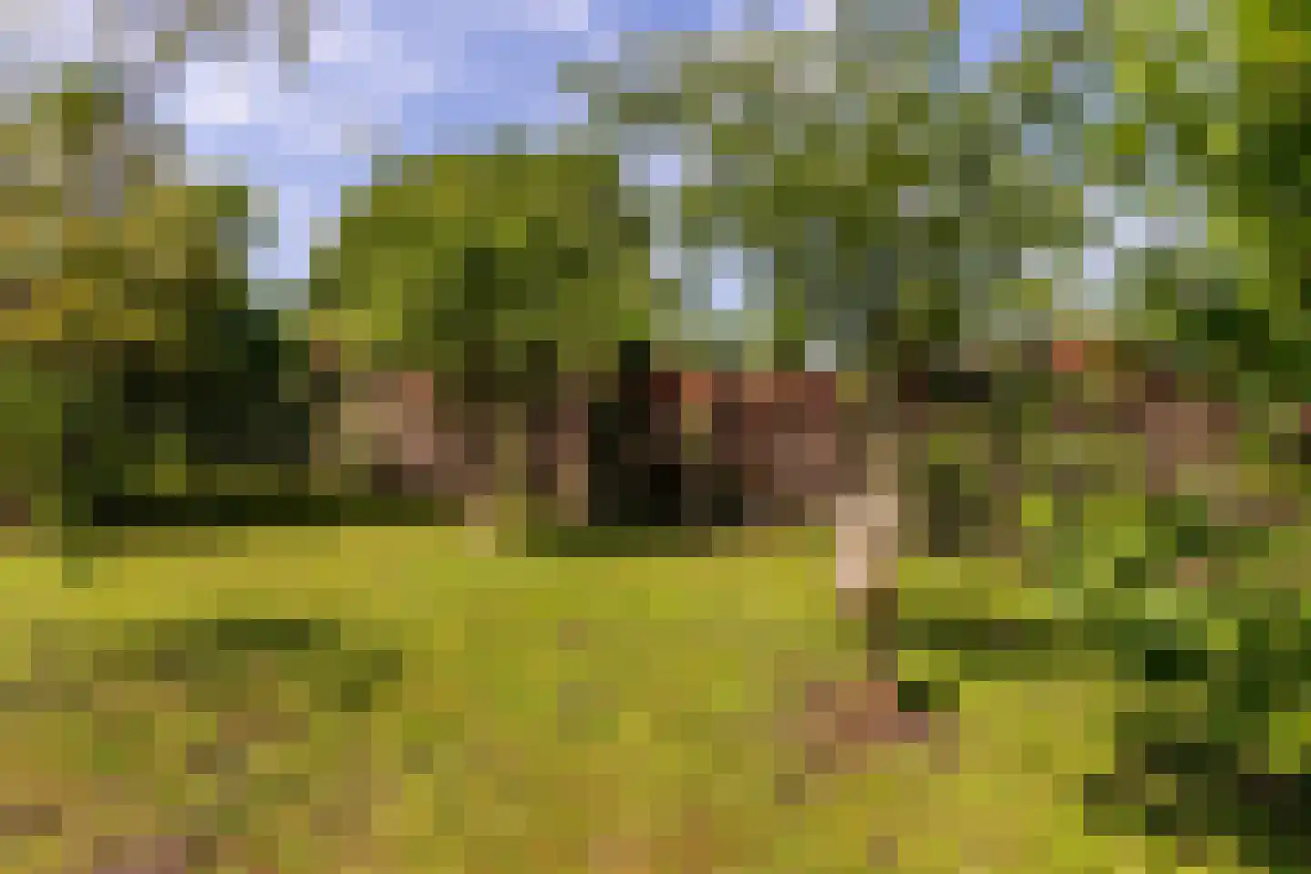 's-Gravenweg 240 Nieuwerkerk aan den IJssel thumbnail 51