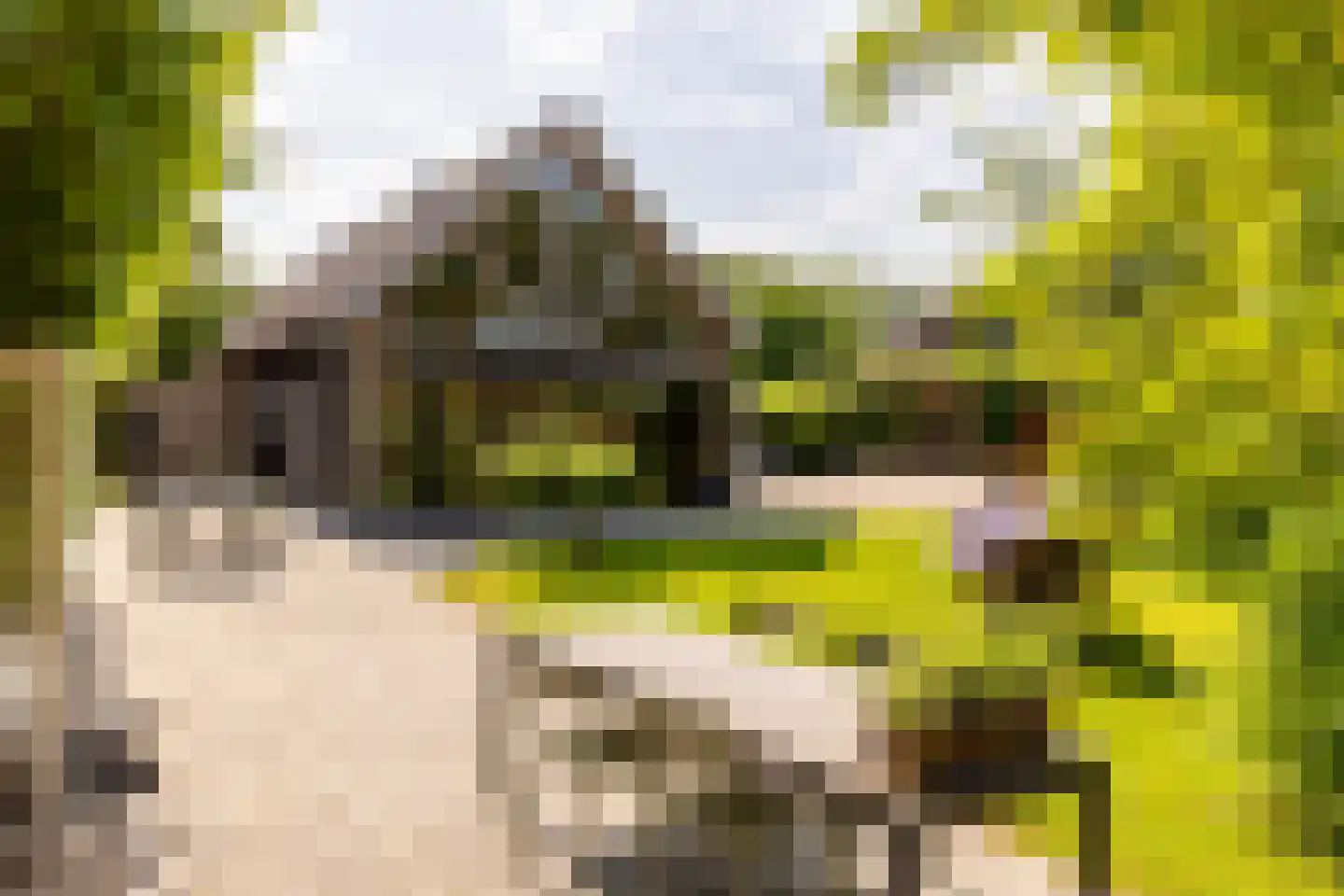 's-Gravenweg 240 Nieuwerkerk aan den IJssel thumbnail 52